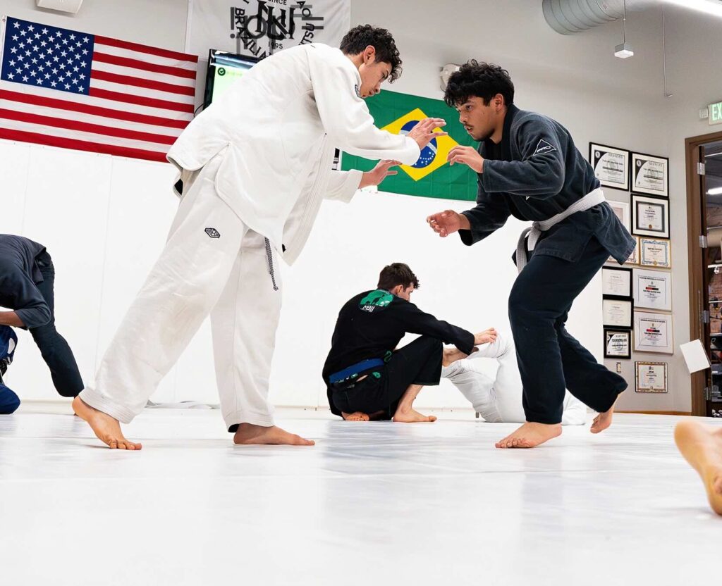 BJJ-1.jpg