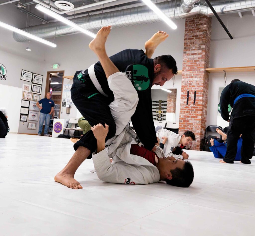 BJJ-2.jpg
